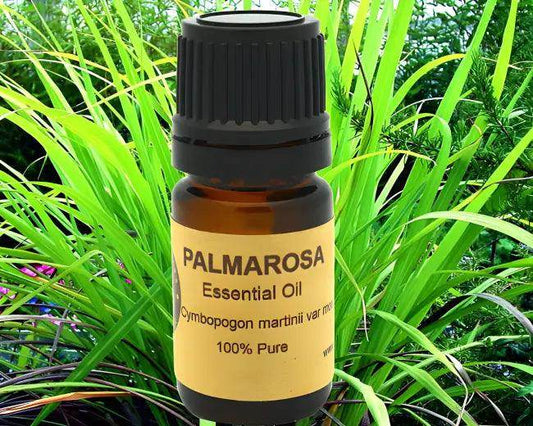 Palmarosa Power Unleash Natures Zest for Wellness - Estalios