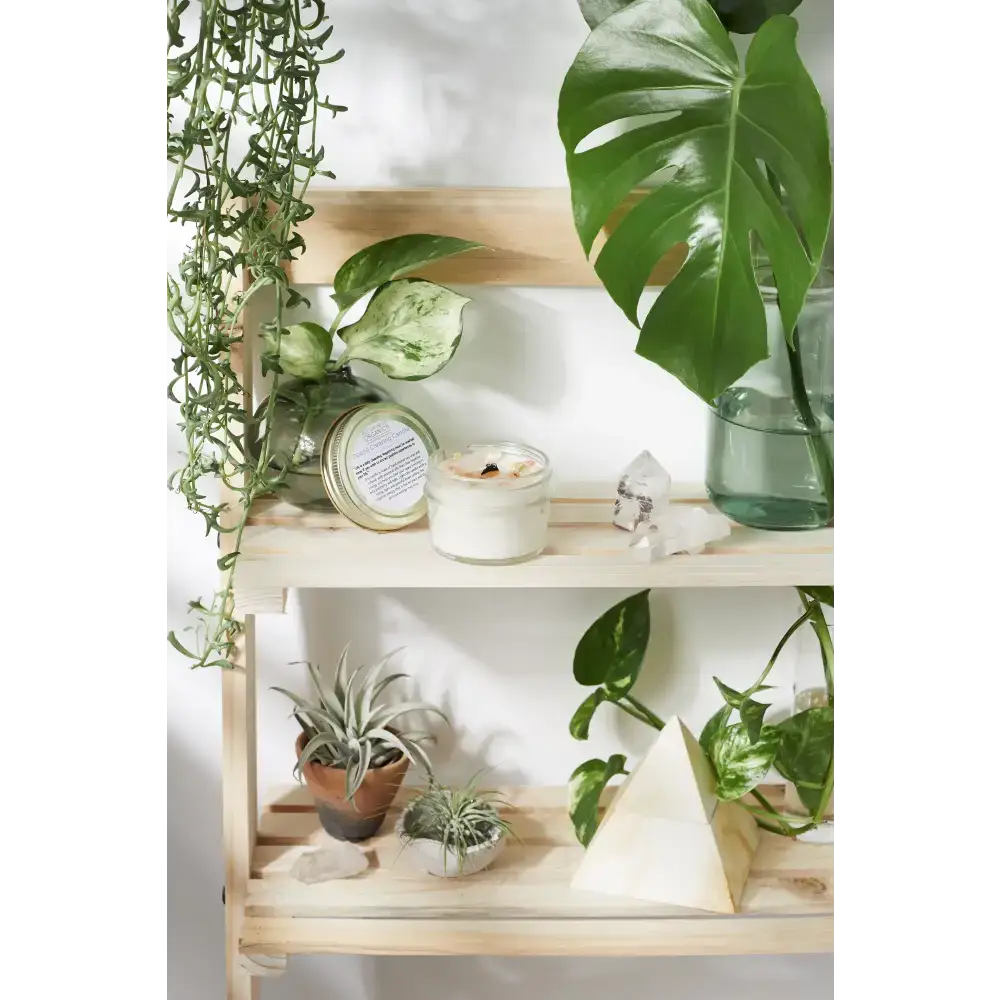 Wooden shelf showcasing Palo Santo Space Clearing Candle Set with plants and candles