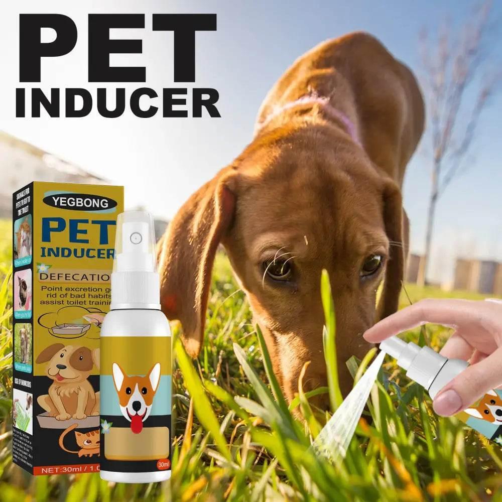 Pet Defecation Locator Spray for Easy Potty Training - Estalios