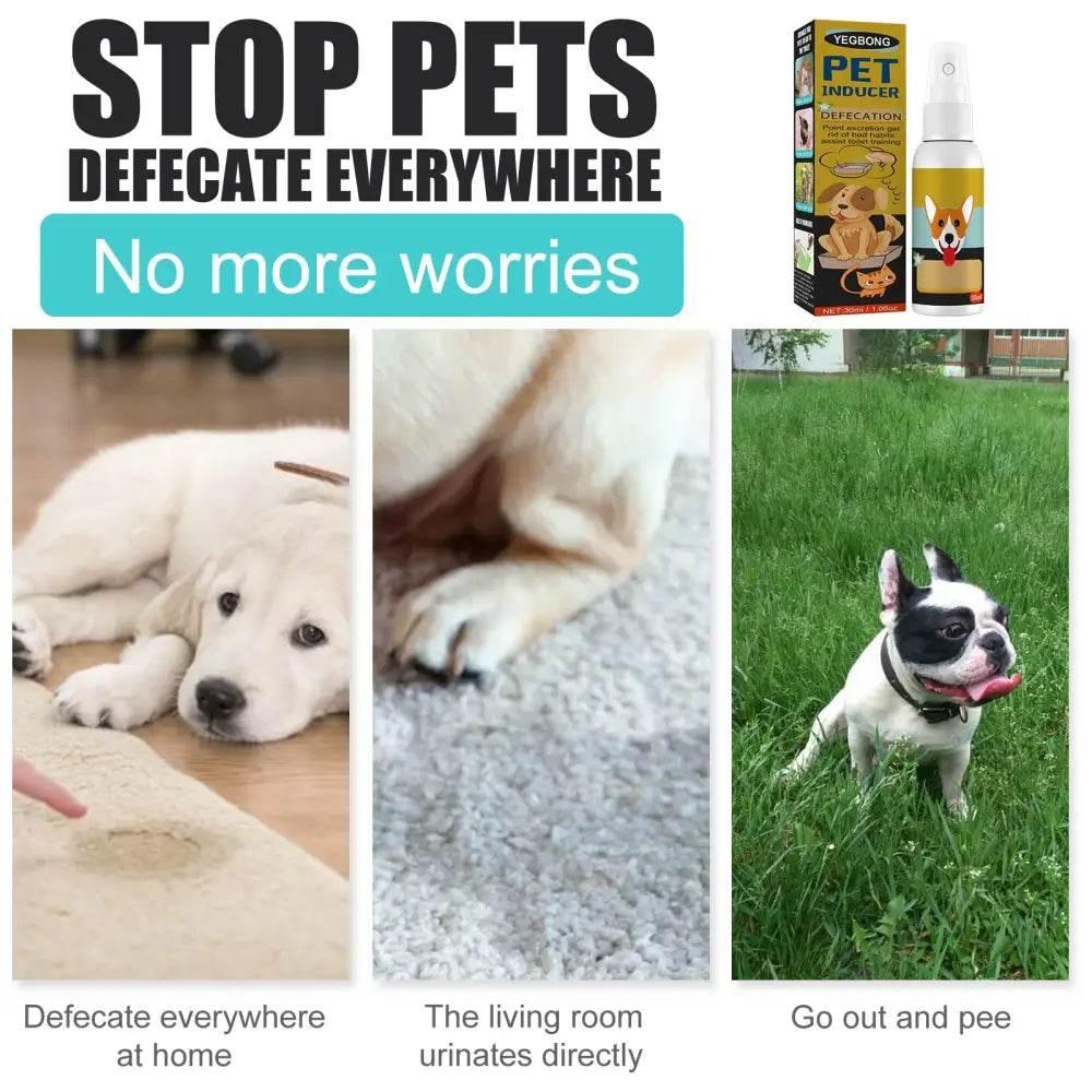 Pet Defecation Locator Spray for Easy Potty Training - Estalios
