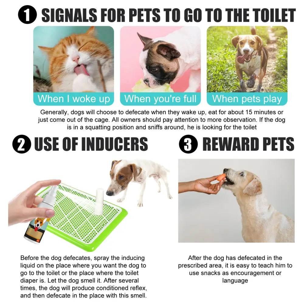 Pet Defecation Locator Spray for Easy Potty Training - Estalios