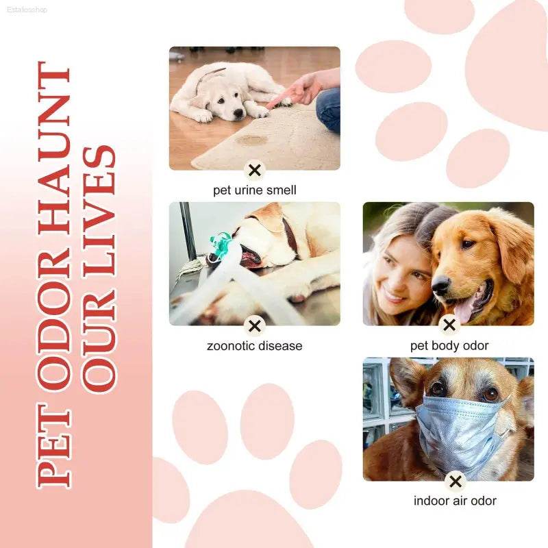 Pet Deodorant Spray Indoor Cat And Dog Deodorizer Spray - Estalios