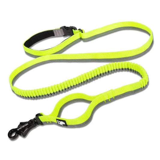Pet Dog Leash With Elastic Cushioning For Outdoor Activities - Estalios