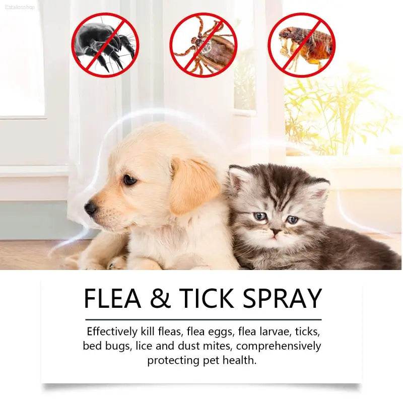 Pet Insect Repellent Spray For Dog And Cat Hair Care - Estalios