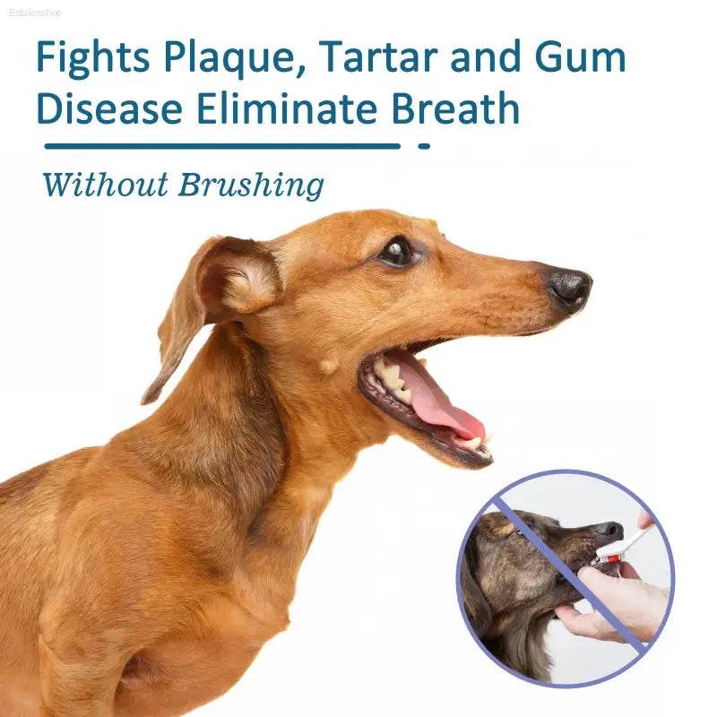 Pet Oral Cleaning Spray For Cats And Dogs Fresh Mouth Care - Estalios
