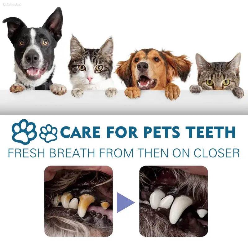 Pet Oral Cleaning Spray For Cats And Dogs Fresh Mouth Care - Estalios