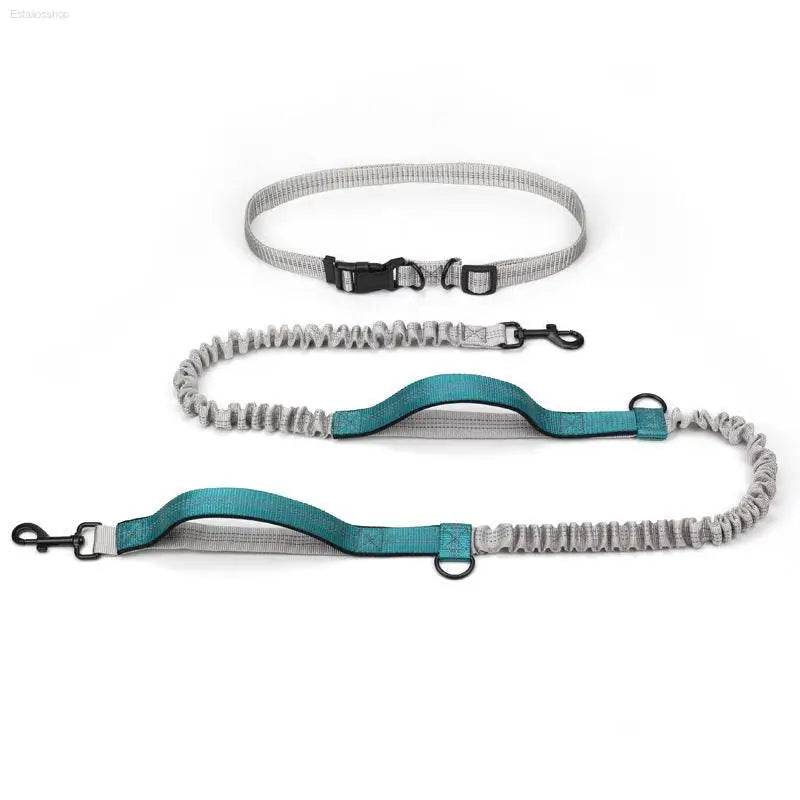 Pet Supplies Outdoor Running Dog Leash for Active Dogs - Estalios