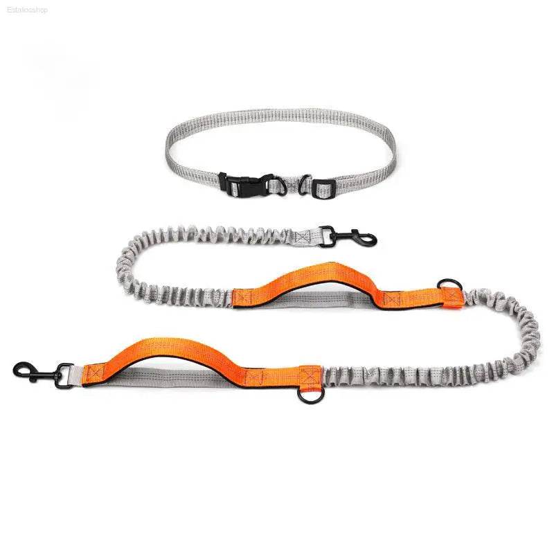 Pet Supplies Outdoor Running Dog Leash for Active Dogs - Estalios