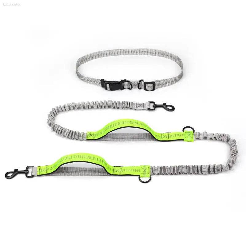 Pet Supplies Outdoor Running Dog Leash for Active Dogs - Estalios