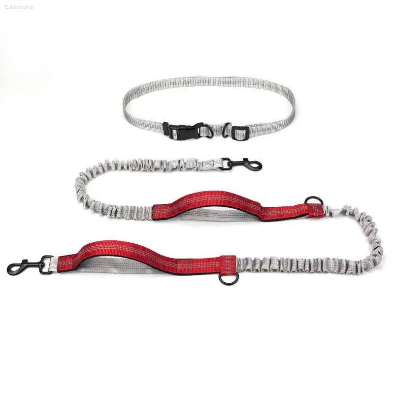 Pet Supplies Outdoor Running Dog Leash for Active Dogs - Estalios