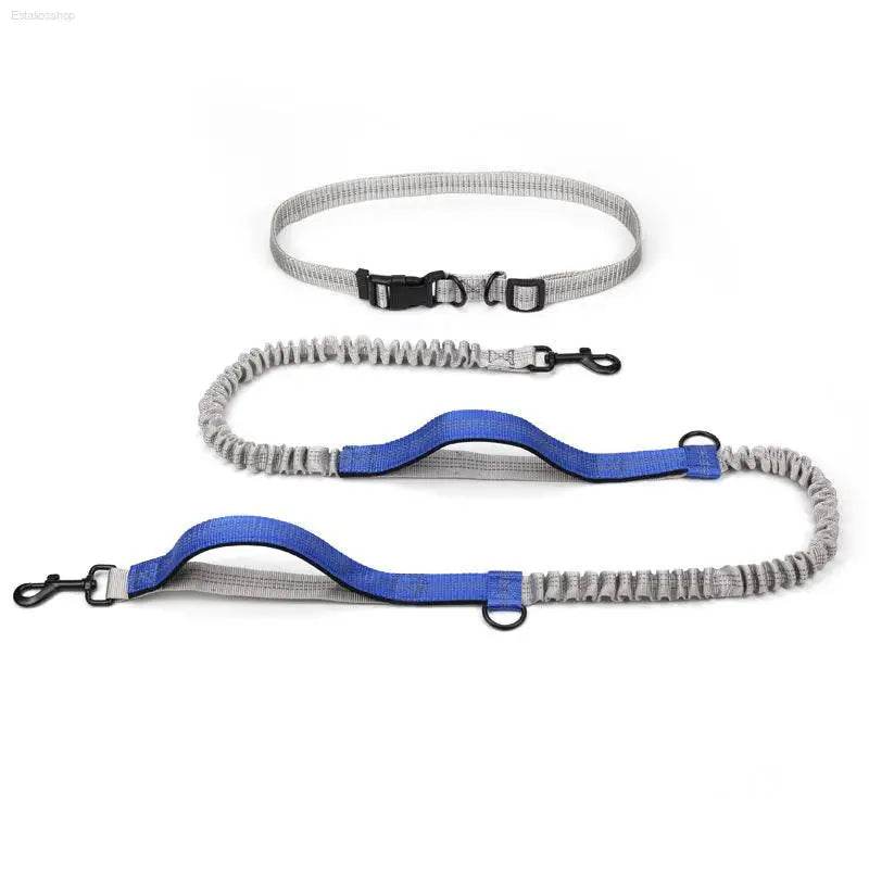 Pet Supplies Outdoor Running Dog Leash for Active Dogs - Estalios