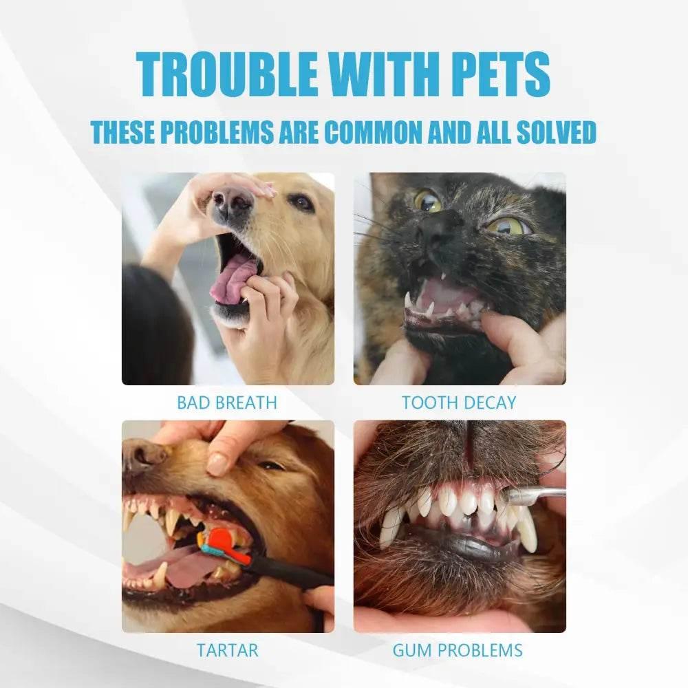 Pet Toothpaste for Fresh Breath and Healthy Teeth - Estalios
