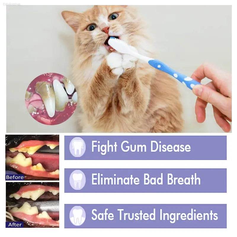 Pet V34 Toothpaste for Clean Bad Breath Tartar Care - Estalios