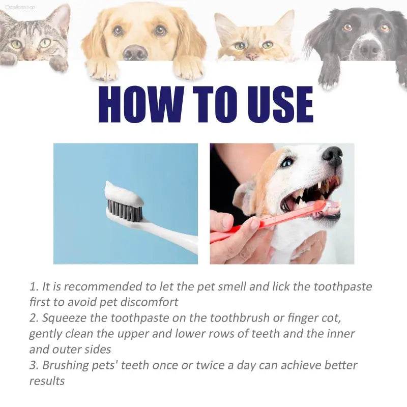 Pet V34 Toothpaste for Clean Bad Breath Tartar Care - Estalios
