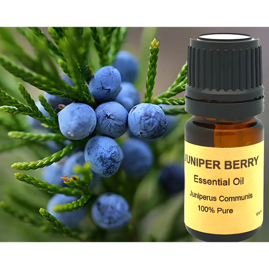 Pure Juniper Berry Essential Oil in a brown glass bottle, perfect for aromatherapy