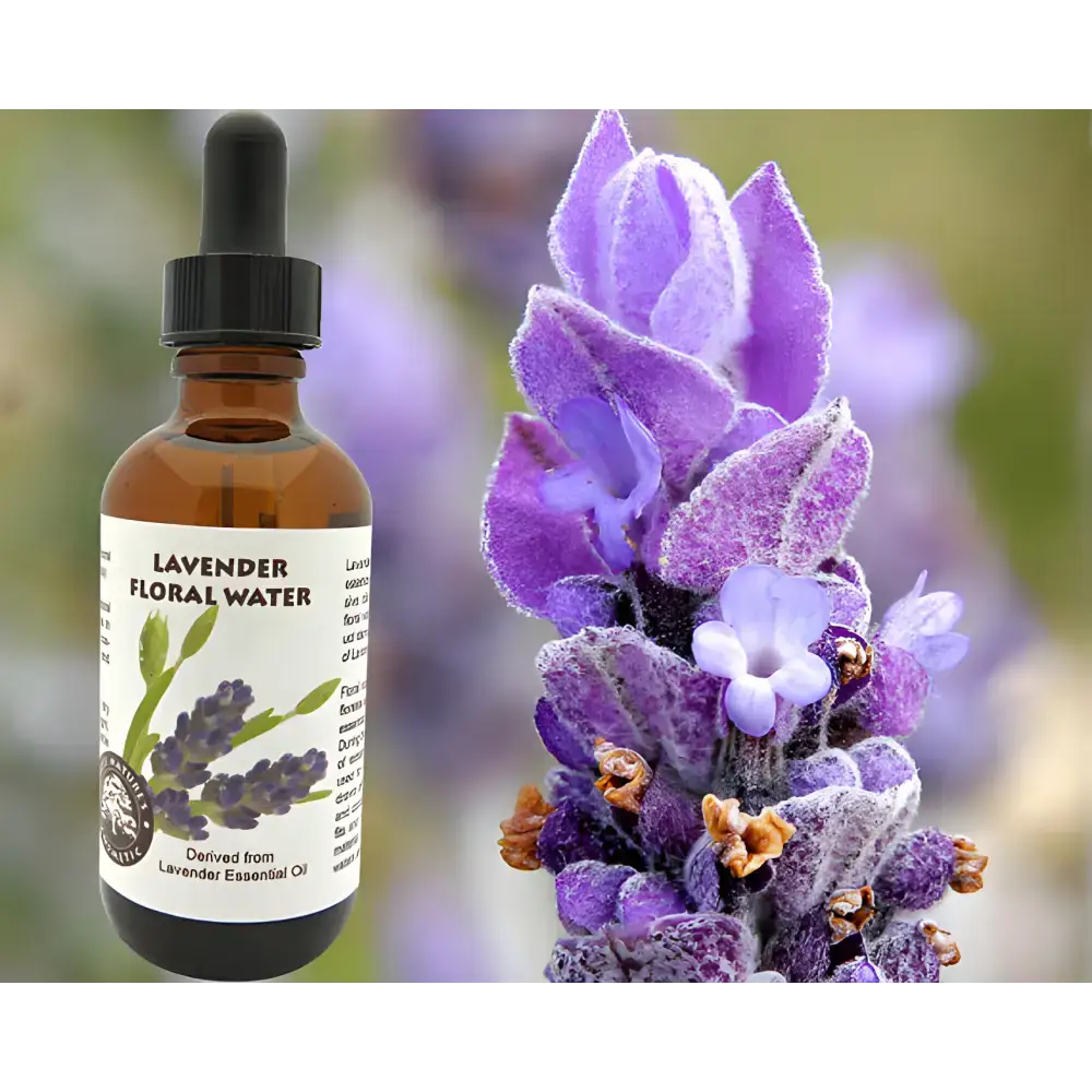 Lavender floral water in a dropper bottle for Pure Lavender Floral Water Bliss