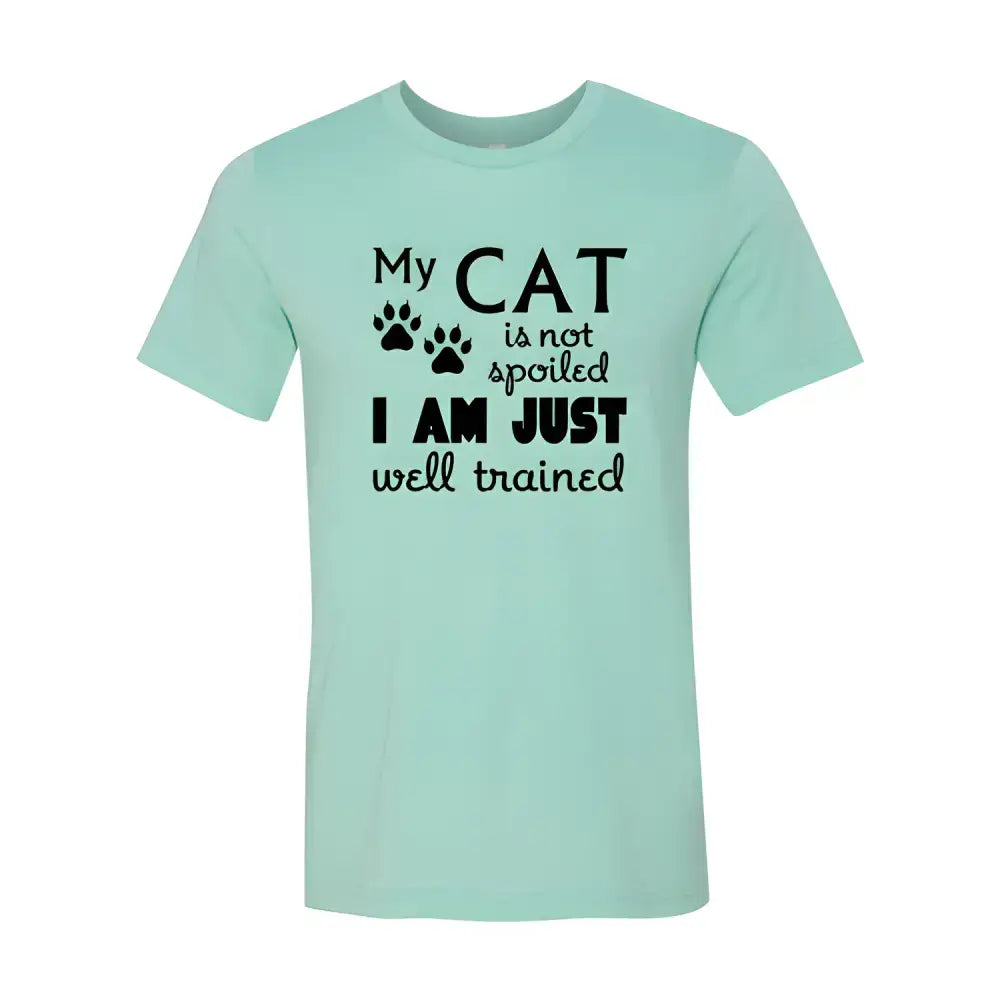 Mint-colored Purrfect Athletic Heather Cat Tee with fun cat-themed text for cat lovers