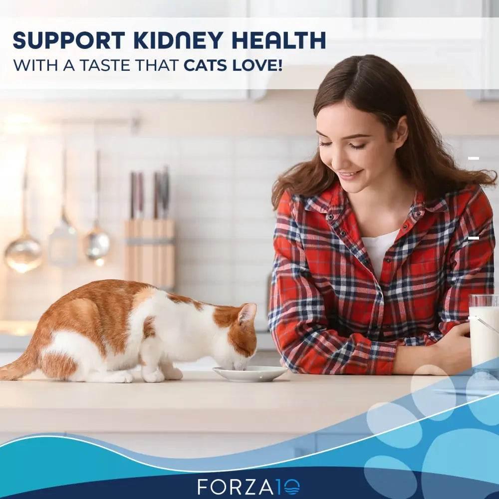 Purrfect Kidney Boost Cat Food: Unleash Happy, Healthy Paws! Give your Furry Friend the Gift of a Long and Vibrant Life with our Specialized - Estalios