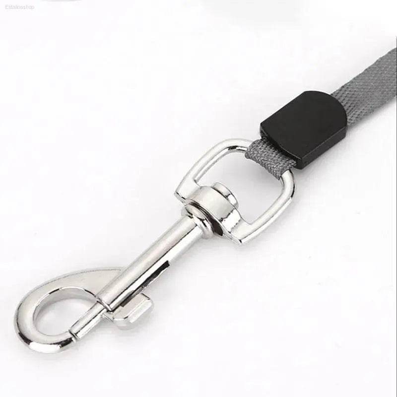 Retractable 3m 5m Nylon Dog Leash for Small Pets - Estalios