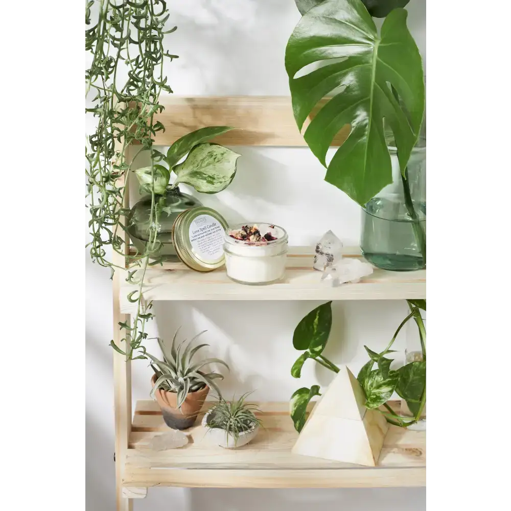 Two-tiered wooden shelf showcasing plants, crystals, and a Love Spell Ritual Kit