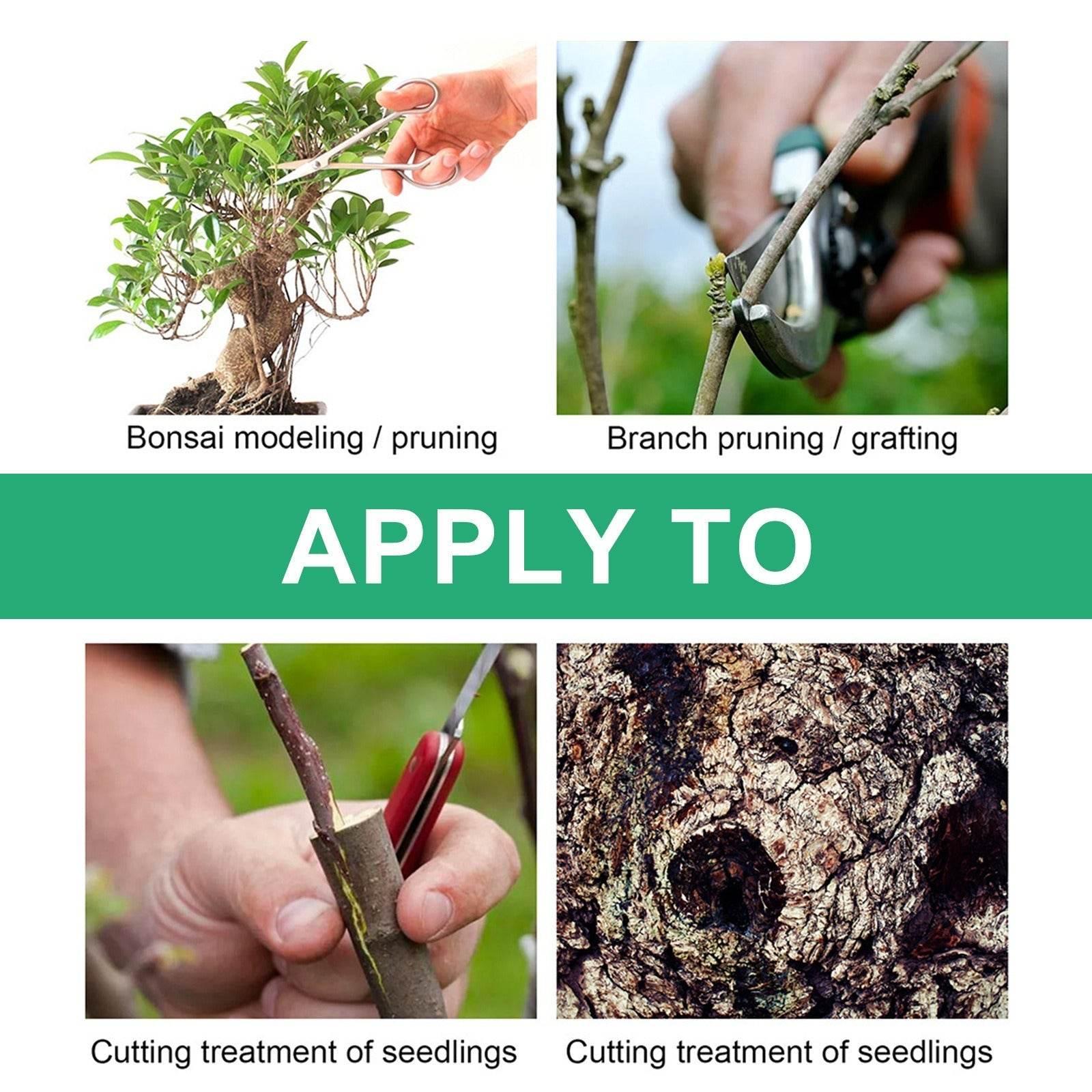 Seedling Tree Wound Sealer for Fast Healing and Protection - Estalios