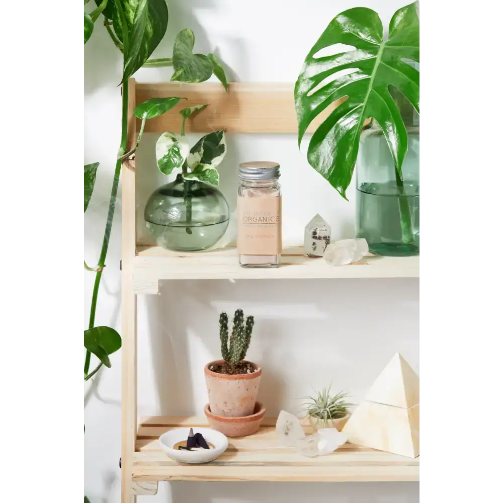 Wooden shelf with plants and crystals by Sleek Silver Jar for natural organic dry shampoo