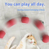 Interactive Red Toy That Sparks Ragdoll Cat Fun! - Estalios