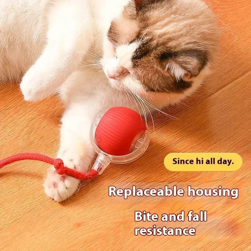 Interactive Red Toy That Sparks Ragdoll Cat Fun! - Estalios
