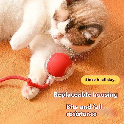 Interactive Red Toy That Sparks Ragdoll Cat Fun! - Estalios