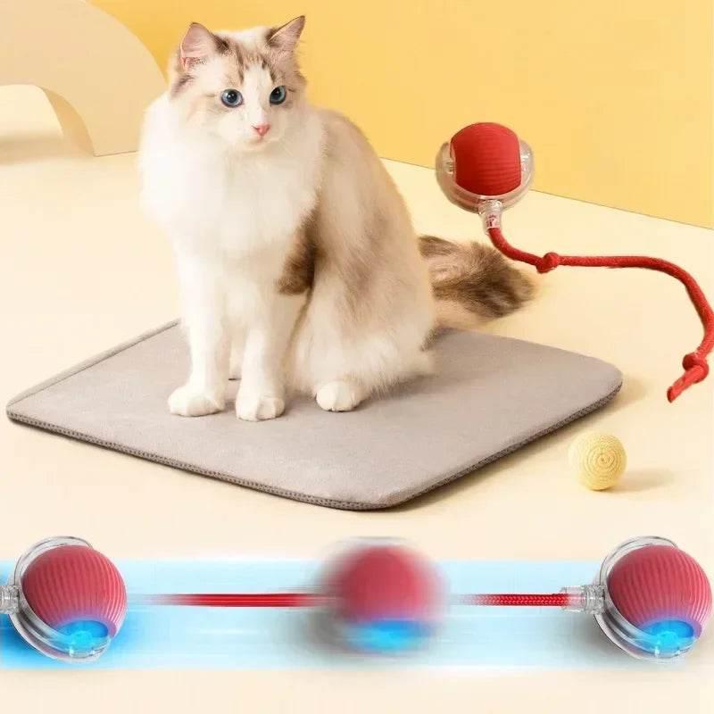 Interactive Red Toy That Sparks Ragdoll Cat Fun! - Estalios