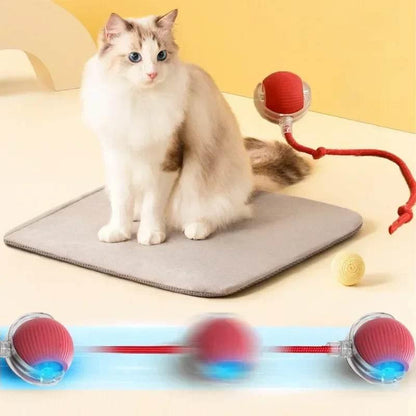 Interactive Red Toy That Sparks Ragdoll Cat Fun! - Estalios