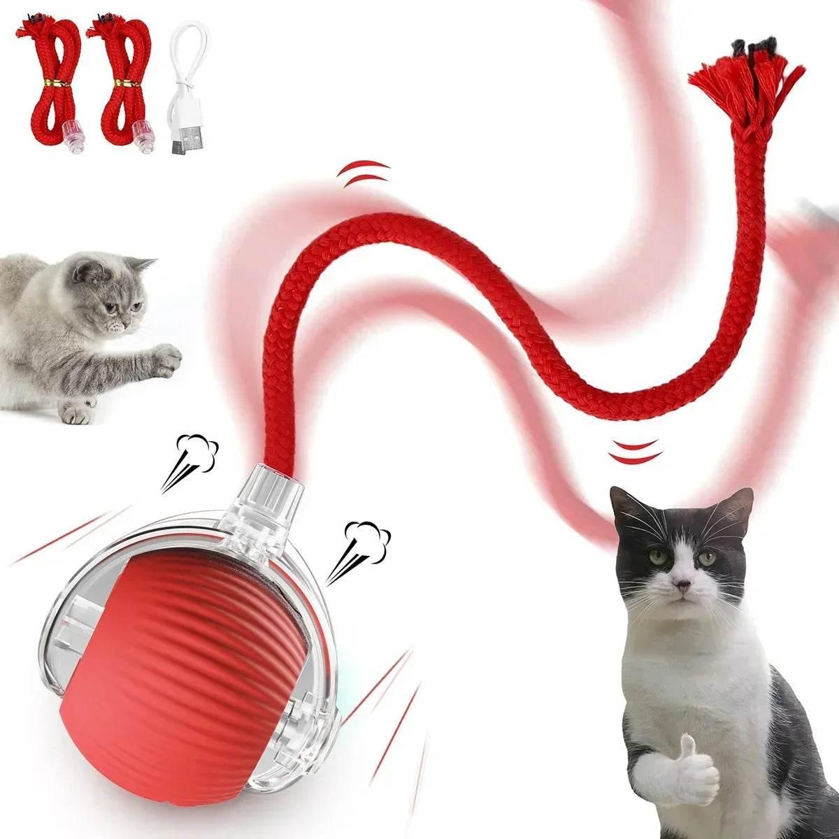 Interactive Red Toy That Sparks Ragdoll Cat Fun! - Estalios