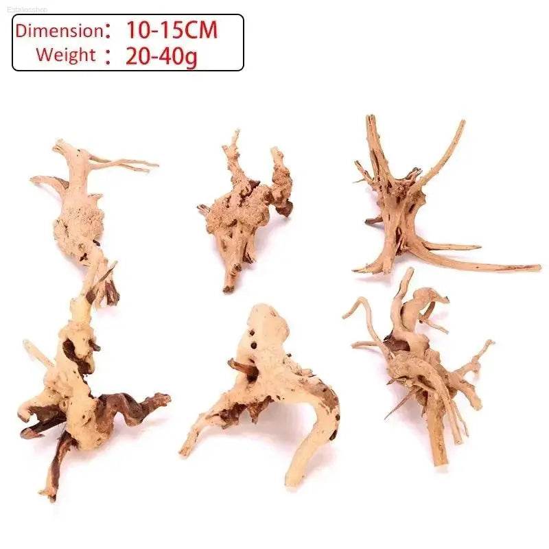 Spider Amphibian Terrarium Natural Driftwood Decor for Tanks - Estalios