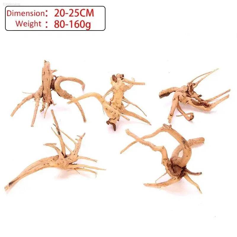 Spider Amphibian Terrarium Natural Driftwood Decor for Tanks - Estalios
