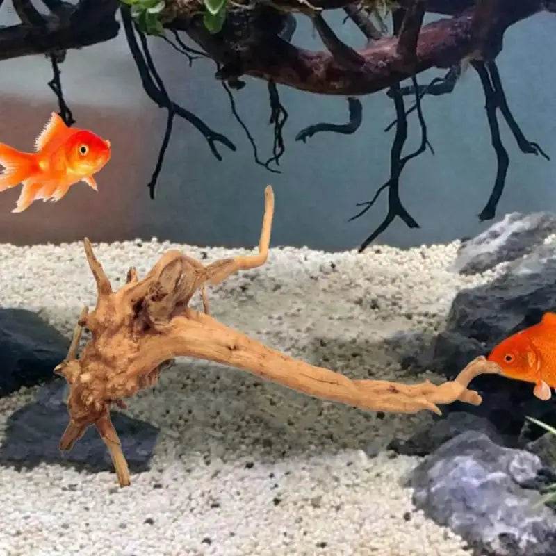 Spider Amphibian Terrarium Natural Driftwood Decor for Tanks - Estalios