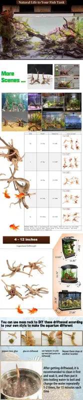 Spider Amphibian Terrarium Natural Driftwood Decor for Tanks - Estalios