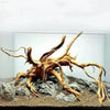 Spider Amphibian Terrarium Natural Driftwood Decor for Tanks - Estalios