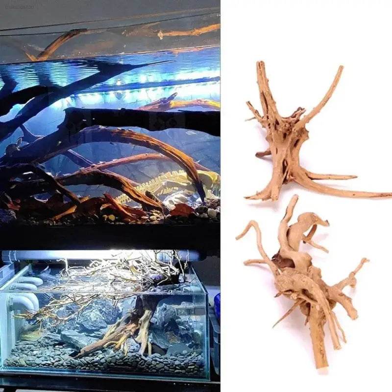 Spider Amphibian Terrarium Natural Driftwood Decor for Tanks - Estalios