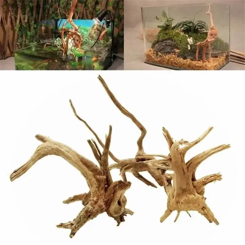 Spider Amphibian Terrarium Natural Driftwood Decor for Tanks - Estalios