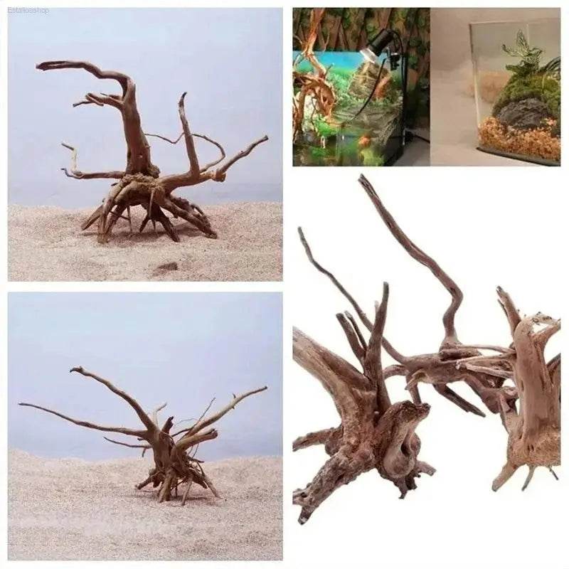 Spider Amphibian Terrarium Natural Driftwood Decor for Tanks - Estalios