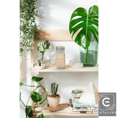 Stylish Square Glass Jar with Metal Lid for Dry Shampoo - Estalios