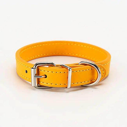 Stylish Leather Dog Collars in Vibrant Colors for Comfort - Estalios