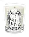 🌞 Summer Escape – Diptyque Figuier Scented Candle | Invigorating Aroma for Relaxation and Home Ambiance - Handmade
