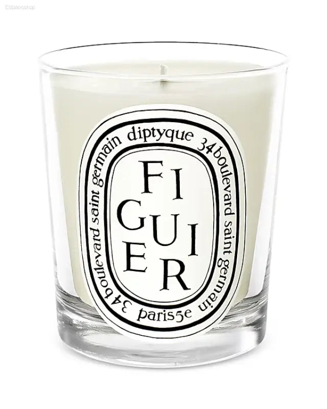 🌞 Summer Escape – Diptyque Figuier Scented Candle | Invigorating Aroma for Relaxation and Home Ambiance - Handmade