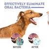 Tooth Cleaning Spray For Cats And Dogs Fresh Breath - Estalios