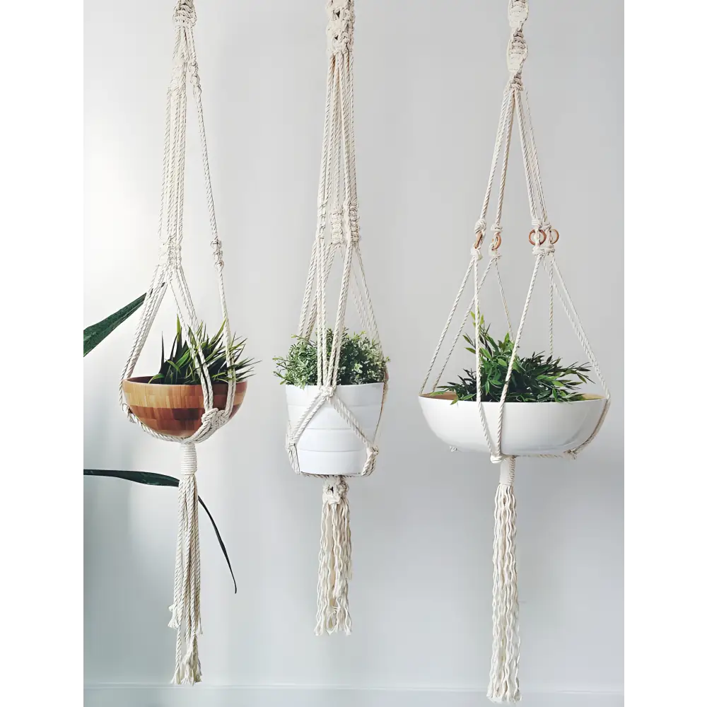 Three stylish macrame plant hangers with vibrant plants in Triple Macrame Plant Hanger Heaven