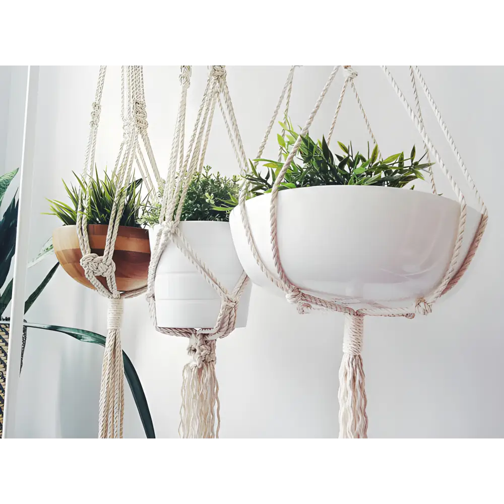 Three stylish macrame plant hangers featured in Triple Macrame Plant Hanger Heaven