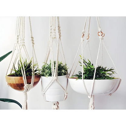 Stylish macrame plant hangers with vibrant potted plants in Triple Macrame Plant Hanger Heaven