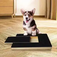 Adjustable Wooden Dog Nail File Board for Safe Trimming