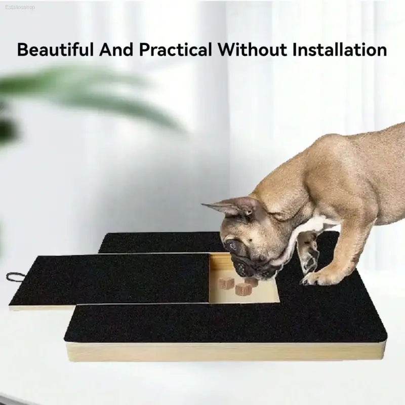Stress-Free Dog Nail Care Kit: Scratch Pad & Treat Box for Happy Pups - Estalios